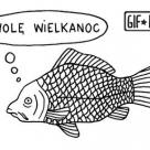 Przemyślenia karpia