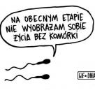 Oczywiste to jest