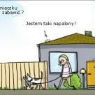 Domy bardzo chcą być wykorzystywane