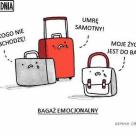 Bagaż