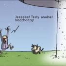 Każdy ma inne potrzeby