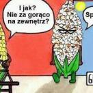 Pogoda idealna na wypad nad wodę