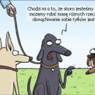 Edukacja zwierząt