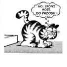 Mój codzienny zapał do pracy