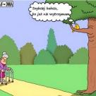 Babcia