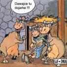 A masz za swoje