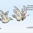 Problemy ptaków