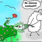 Wiosna