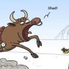 Nowa corrida
