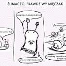 Wie jak się zakręcić za kobitkami