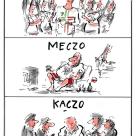 Mucho