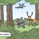 Walka z myśliwymi
