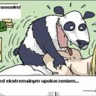 Ale ona kocha zwierzęta