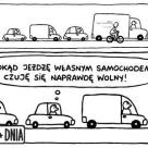 Wolność w mieście