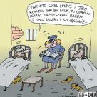 Bajki dla dorosłych
