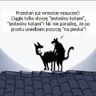 Ciekawe gdzie ją podpatrzył