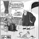 Starość nie radość