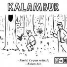 Prawdziwy kalambur