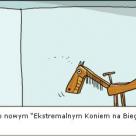Zabawki od 3 lat