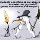 Koniec zimy