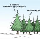 Choinki