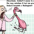 Nie przetłumaczysz