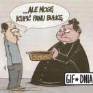Dobrze mu dogryzł