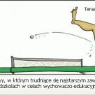 Nauka przez zabawę
