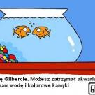 Rozwód rybki